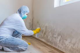 Best Black Mold Removal  in Mill Neck, NY